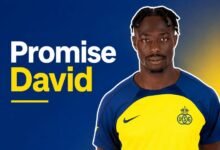 Promise David biography