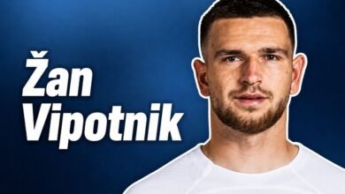 Žan Vipotnik