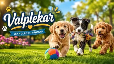 Valplekar